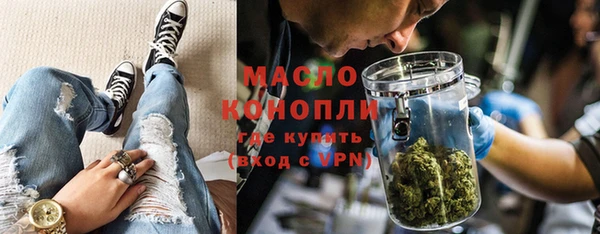 мет Алексин
