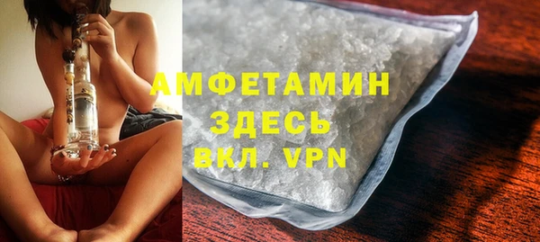 мет Алексин