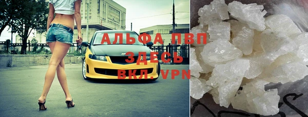 мет Алексин