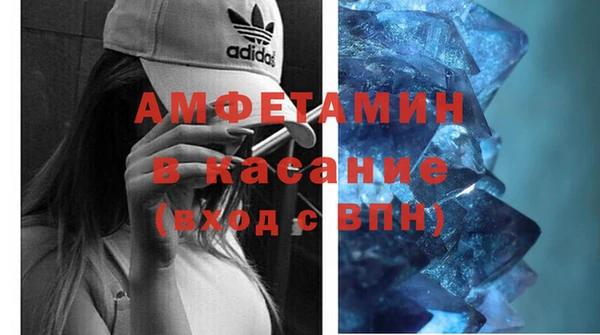 мет Алексин
