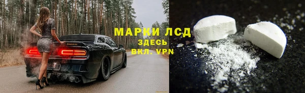мет Алексин